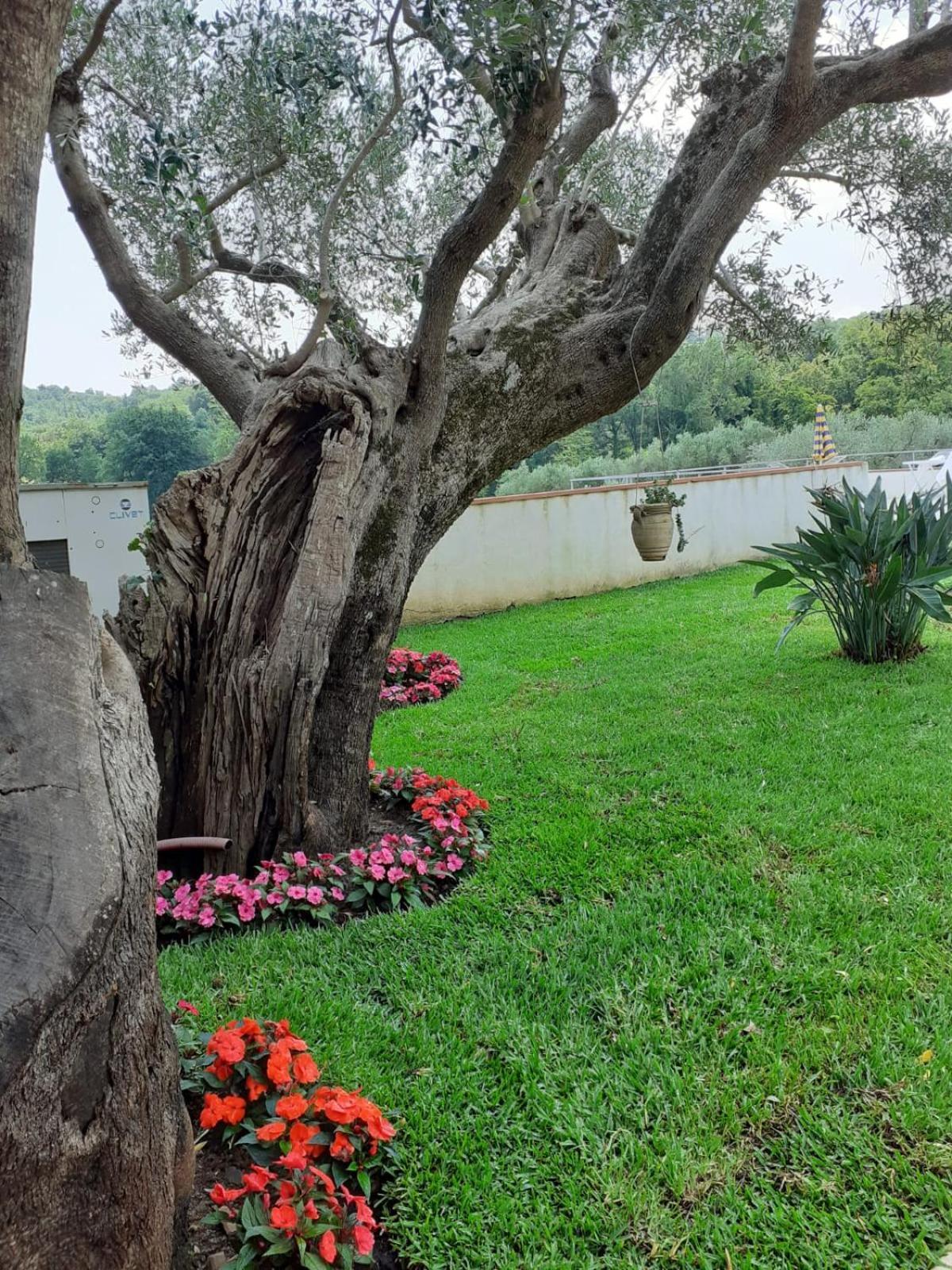 Bel Tempio Guest House San Giovanni a Piro Eksteriør bilde